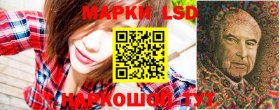стафф Донецк