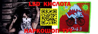 стафф Донецк
