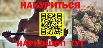 стафф Донецк