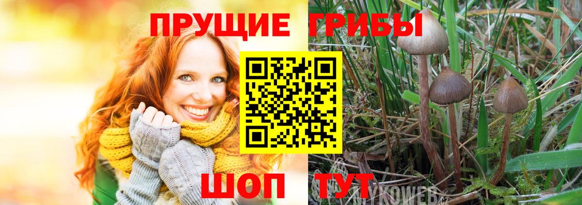 Галлюциногенные грибы Magic Shrooms Миасс